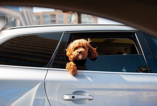 Auto-Smart-Key-Duplication--in-West-Friendship-Maryland-auto-smart-key-duplication-west-friendship-maryland.jpg-image